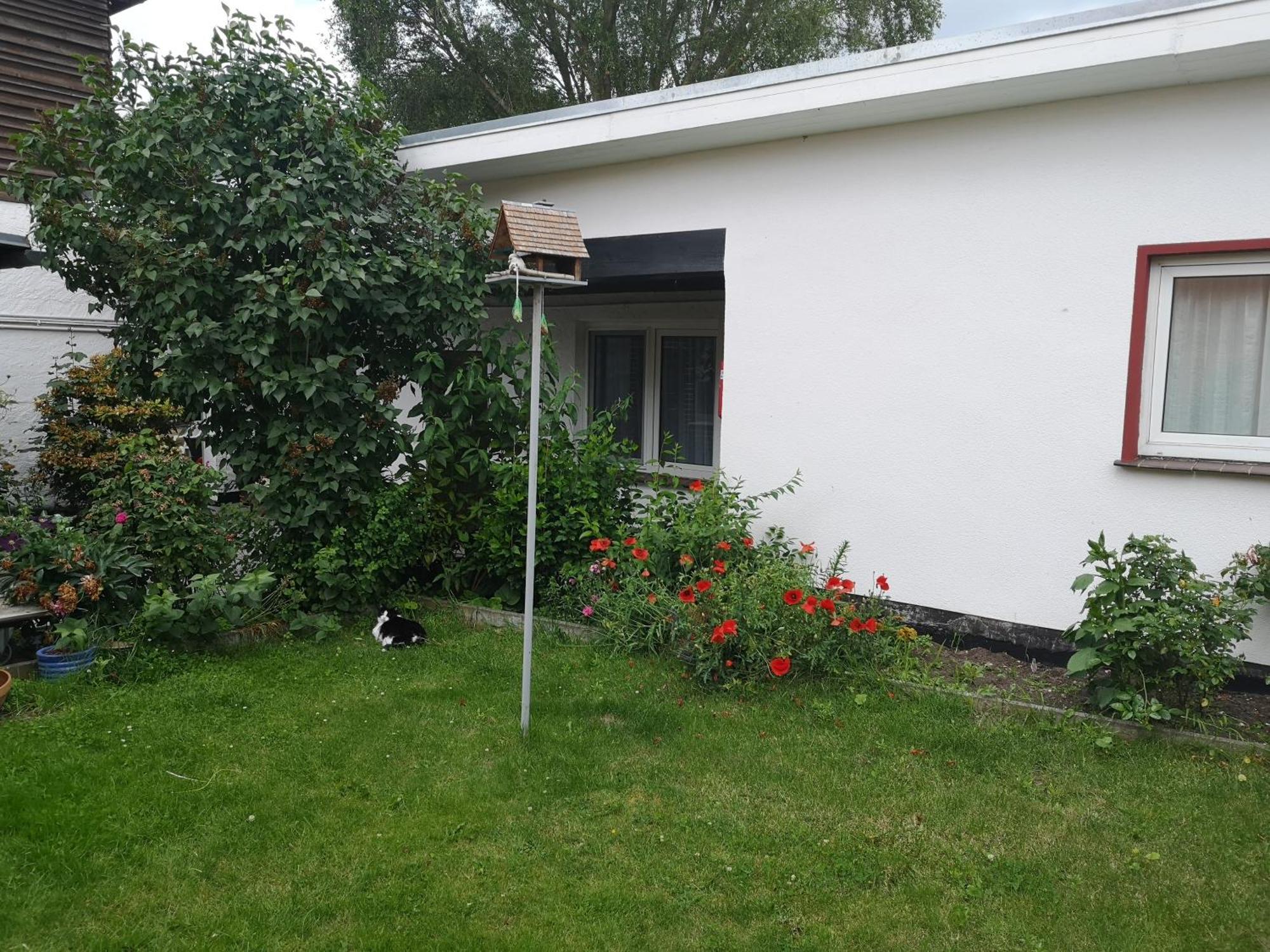 Uschi'S Gasthof Neuendorf  エクステリア 写真